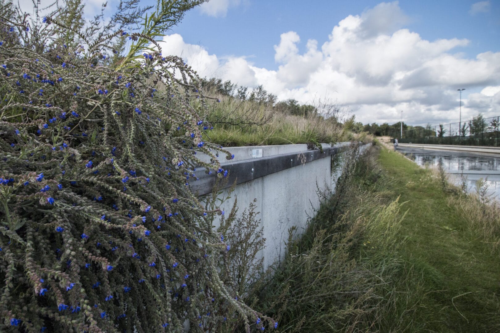 Waterkering bij sportcomplex De Zilk in Noordwijkerhout met Bosch Beton keerwanden