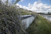 Waterkering bij sportcomplex De Zilk in Noordwijkerhout met Bosch Beton keerwanden