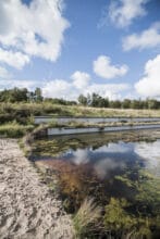 Waterkering bij sportcomplex De Zilk in Noordwijkerhout met Bosch Beton keerwanden