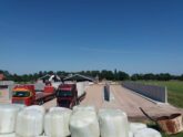 Bosch Beton - Sleufsilo's voor ruwvoer en mestopslag bij geitenmelkerij
