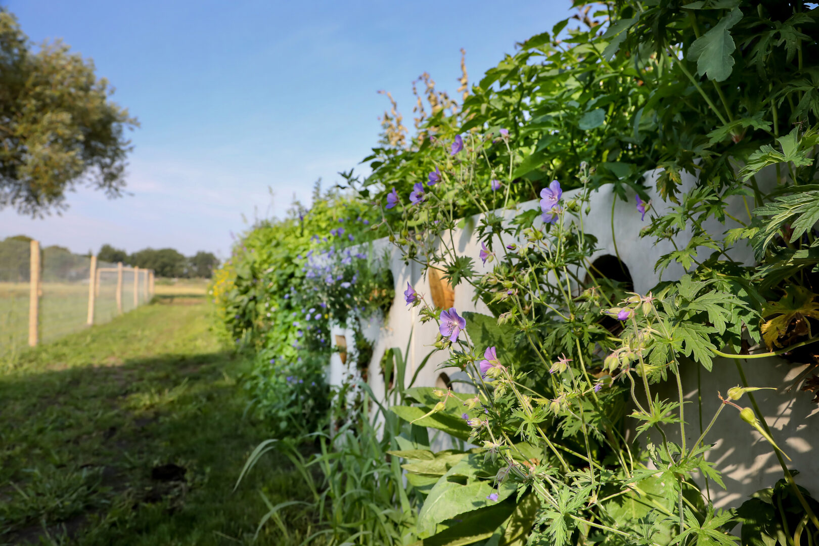Bosch Beton - Biokeerwand draagt bij aan biodiversiteit