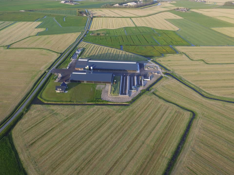 Vijf Bosch Beton sleufsilo's bij melkveebedrijf in Schoorl (foto: Gerben Mulder)