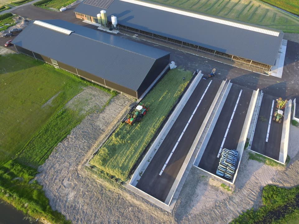 Vijf Bosch Beton sleufsilo's bij melkveebedrijf in Schoorl (foto: Gerben Mulder)