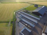 Vijf Bosch Beton sleufsilo's bij melkveebedrijf in Schoorl (foto: Gerben Mulder)